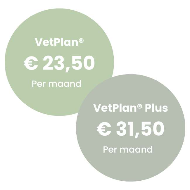 Vetplan Honden 20 tot 40