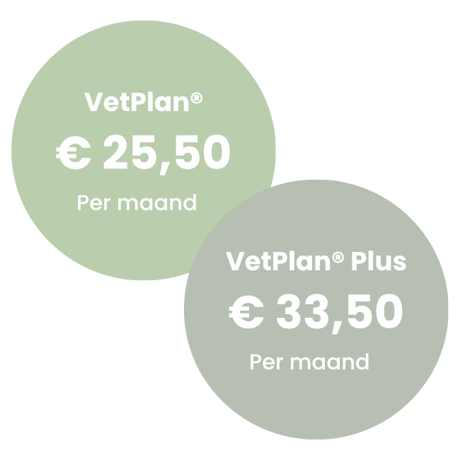Vetplan Honden 40 tot 60