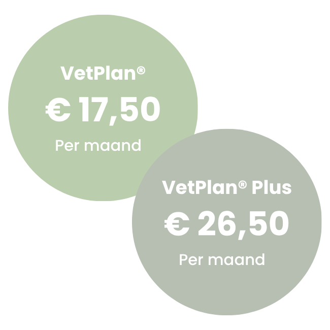 Vetplan Honden 5-10 kg (1)