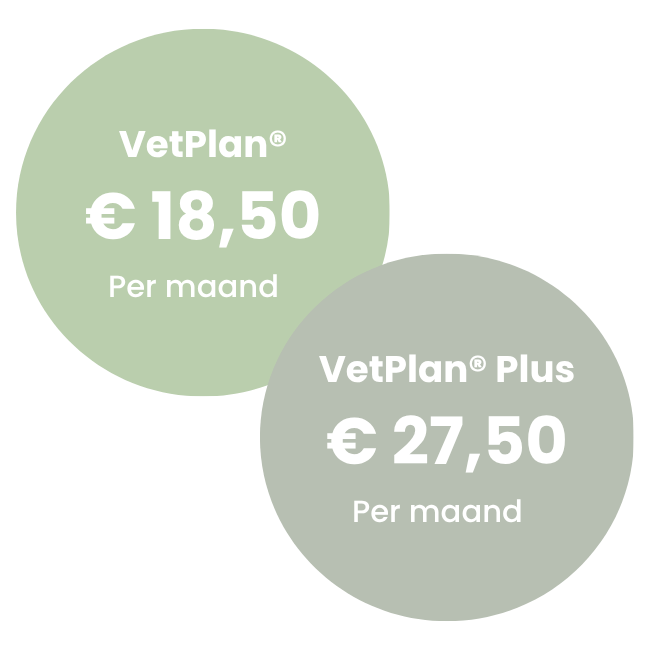 Vetplan Honden 5-10 kg (2)