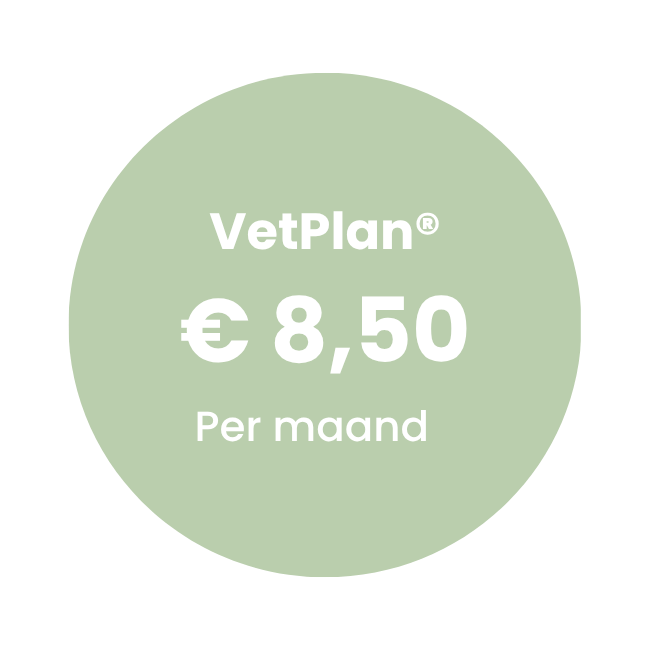 Vetplan Konijn
