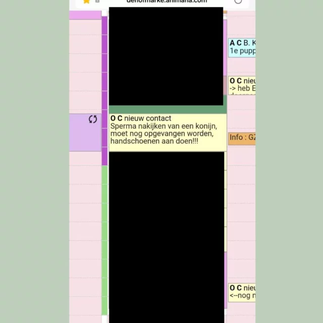 🐑 Een bijzondere afspraak… of toch niet? 😅

Vanmiddag hadden wij een wel héél bijzondere afspraak in de agenda staan…
Om 14:15 uur zouden wij namelijk sperma afnemen bij een ram en dit onder de microscoop beoordelen.

Eerlijk is eerlijk: dit is niet iets wat wij normaal gesproken doen 😄
Dus Joyce en Nanda stonden al klaar met een zelfgemaakt opvangbuisje (gemaakt door onze Tamara) en de nodige vraagtekens…

Ondertussen hadden we via de app contact met Rianne (die eigenlijk lekker een middag vrij had en niet op de praktijk was).

Toen kwam de aap uit de mouw…
“Wel een bijzondere afspraak hè, om 14:15 uur… op 1 april!” 🤭

Toen ging er ineens een lampje branden 💡
Er was helemaal geen afspraak… we waren erin getrapt en flink ook!

Rianne, je hebt ons goed te pakken gehad 😆👏

#1april #dierenkliniek #grapje #werkplezier